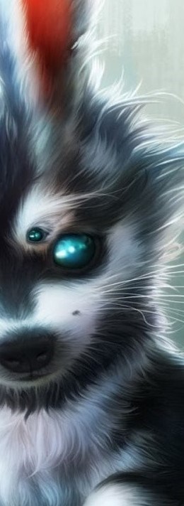 ikona huskey dog blue eyes hd fantasy animal wallpaper6694.jpg